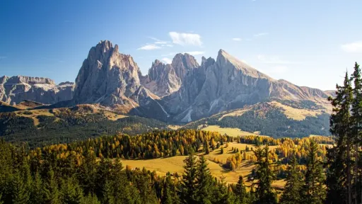 beautiful shot grassy hills covered trees near mountains dolomites italy